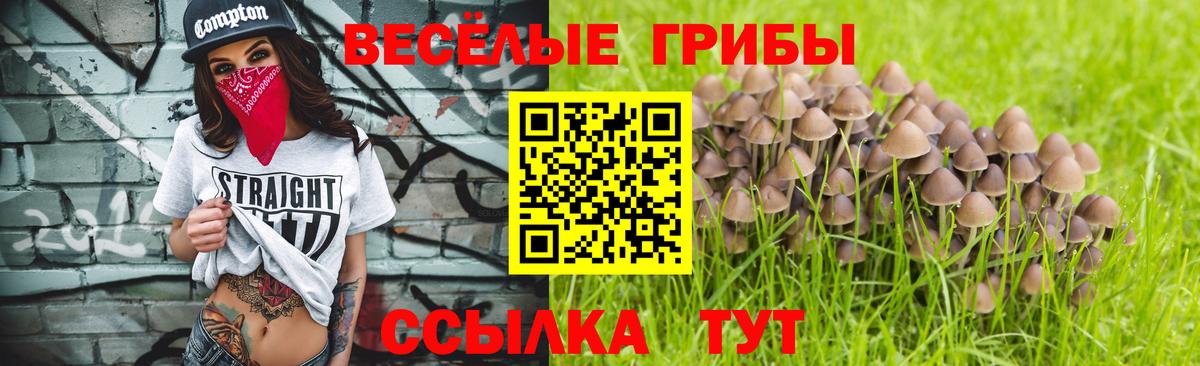 Белебей  Галлюциногенные грибы Magic Shrooms  Галлюциногенные грибы прущие грибы  Вход с VPN 